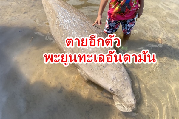 780dd559d145523430dbe1f68e5ab386_small